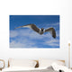 Sabine's Gull In Flight North Slope, Arctic, Alaska, Summer Wall Mural