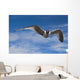 Sabine's Gull In Flight North Slope, Arctic, Alaska, Summer Wall Mural