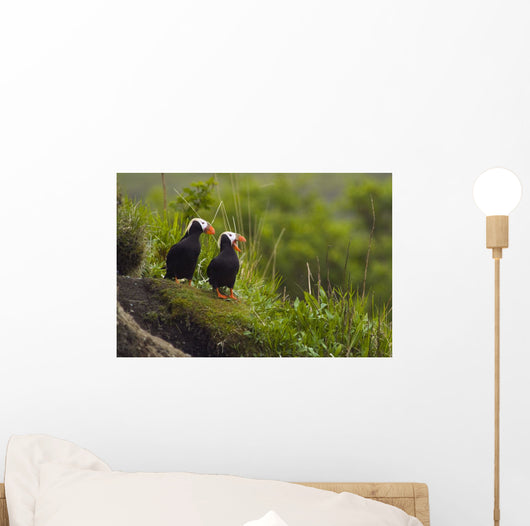 A Pair Of Tufted Puffins Perched On Cliff Wall Mural