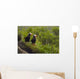 A Pair Of Tufted Puffins Perched On Cliff Wall Mural