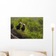 A Pair Of Tufted Puffins Perched On Cliff Wall Mural