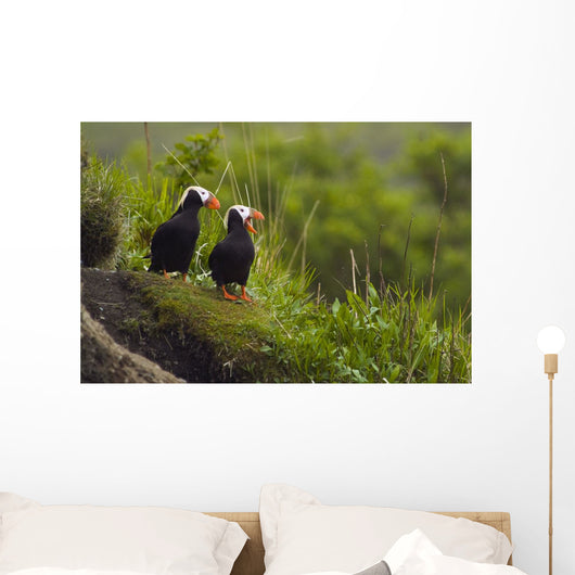 A Pair Of Tufted Puffins Perched On Cliff Wall Mural