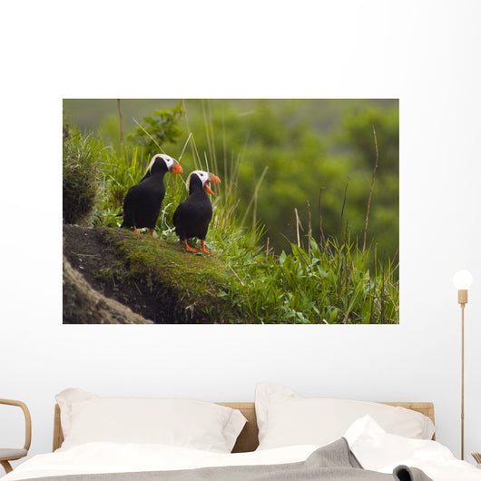 A Pair Of Tufted Puffins Perched On Cliff Wall Mural
