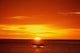 Humpback Whale Tail @ Sunset Se Composite Wall Mural