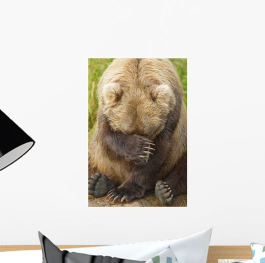 A Female Brown Bear Puts Her Paw Over Her Eyes And Rests While Sitting Wall Mural