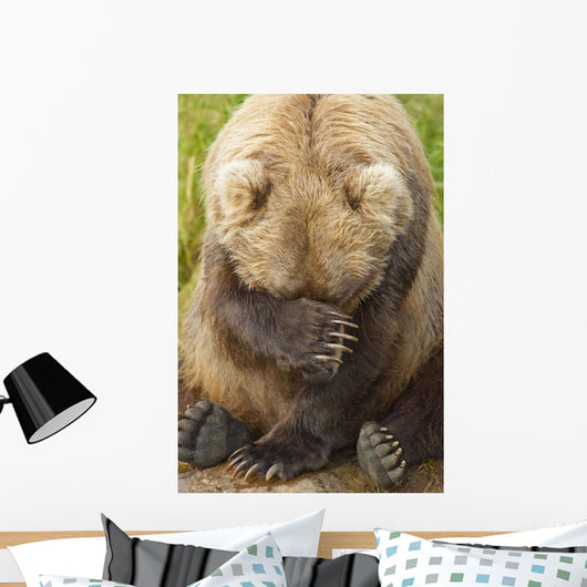 A Female Brown Bear Puts Her Paw Over Her Eyes And Rests While Sitting Wall Mural