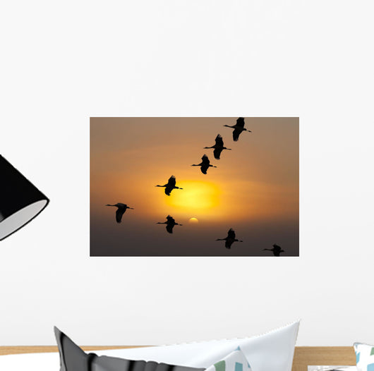 Composite Wall Mural