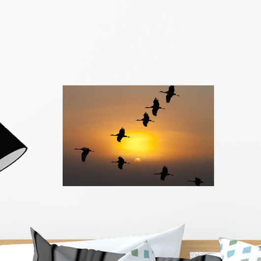 Composite Wall Mural