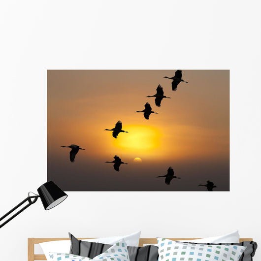 Composite Wall Mural