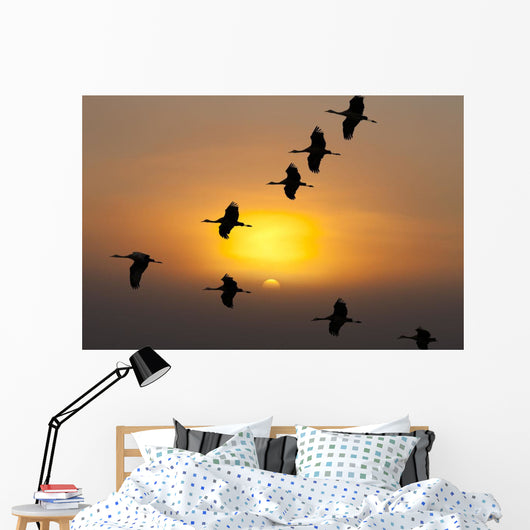 Composite Wall Mural