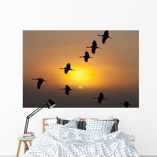 Composite Wall Mural