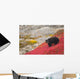 Black Bear Foraging For Berries On A Bright Red Patch Of Tundra Wall Mural