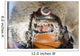 Junior Iditarod Musher Ava Lindner Frosted Up Wall Mural