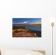 Scenic View Of Mt Mckinley And Wonder Lake Wall Mural