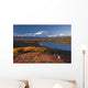 Scenic View Of Mt Mckinley And Wonder Lake Wall Mural