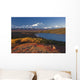 Scenic View Of Mt Mckinley And Wonder Lake Wall Mural