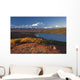 Scenic View Of Mt Mckinley And Wonder Lake Wall Mural