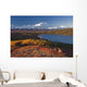Scenic View Of Mt Mckinley And Wonder Lake Wall Mural