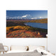 Scenic View Of Mt Mckinley And Wonder Lake Wall Mural