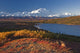 Scenic View Of Mt Mckinley And Wonder Lake Wall Mural