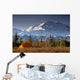 Scenic View Of Mt Mckinley In The Morning With Tent In The Foreground Wall Mural