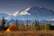 Scenic View Of Mt Mckinley In The Morning With Tent In The Foreground Wall Mural