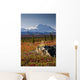 Scenic View Of Mt Mckinley During Autumn Wall Mural