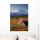 Scenic View Of Mt Mckinley During Autumn Wall Mural