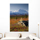 Scenic View Of Mt Mckinley During Autumn Wall Mural