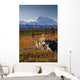 Scenic View Of Mt Mckinley During Autumn Wall Mural