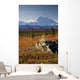 Scenic View Of Mt Mckinley During Autumn Wall Mural