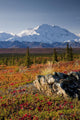 Scenic View Of Mt Mckinley During Autumn Wall Mural