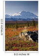 Scenic View Of Mt Mckinley During Autumn Wall Mural