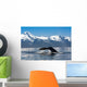 Close Up Of A Humpback Whale Tail Dripping Water As The Whale Dives Wall Mural