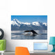 Close Up Of A Humpback Whale Tail Dripping Water As The Whale Dives Wall Mural