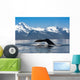 Close Up Of A Humpback Whale Tail Dripping Water As The Whale Dives Wall Mural