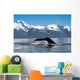 Close Up Of A Humpback Whale Tail Dripping Water As The Whale Dives Wall Mural