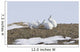 Arctic Hare Performing The Social Behavior Of *Nosing* On Banks Island Wall Mural