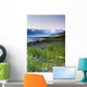Field Of Wildflowers Near Haines, Southeast Alaska, Summer, Hdr Image Wall Mural