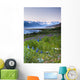 Field Of Wildflowers Near Haines, Southeast Alaska, Summer, Hdr Image Wall Mural