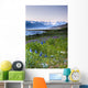 Field Of Wildflowers Near Haines, Southeast Alaska, Summer, Hdr Image Wall Mural