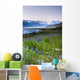 Field Of Wildflowers Near Haines, Southeast Alaska, Summer, Hdr Image Wall Mural