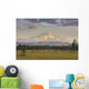 Scenic View Of Mount Mckinley, Alaska, Hdr Image Wall Mural