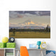 Scenic View Of Mount Mckinley, Alaska, Hdr Image Wall Mural