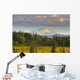 Scenic View Of Mount Mckinley Wall Mural