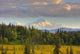 Scenic View Of Mount Mckinley Wall Mural