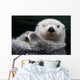 Captive Close Up Of A Sea Otter Floating On Its Back Wall Mural