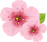 Cherry Blossom Flowers Wall Decal