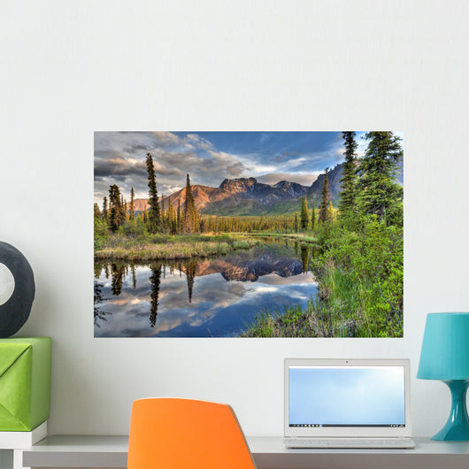 Skookum Volcano Reflecting In A Pond Wall Mural