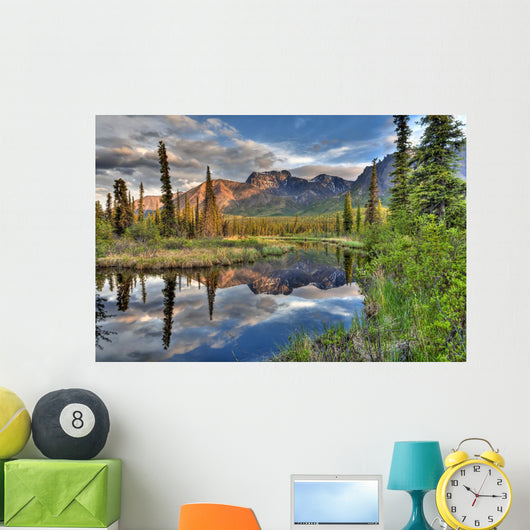 Skookum Volcano Reflecting In A Pond Wall Mural